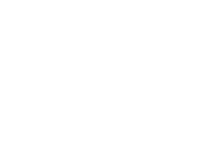 white lloyoll logo